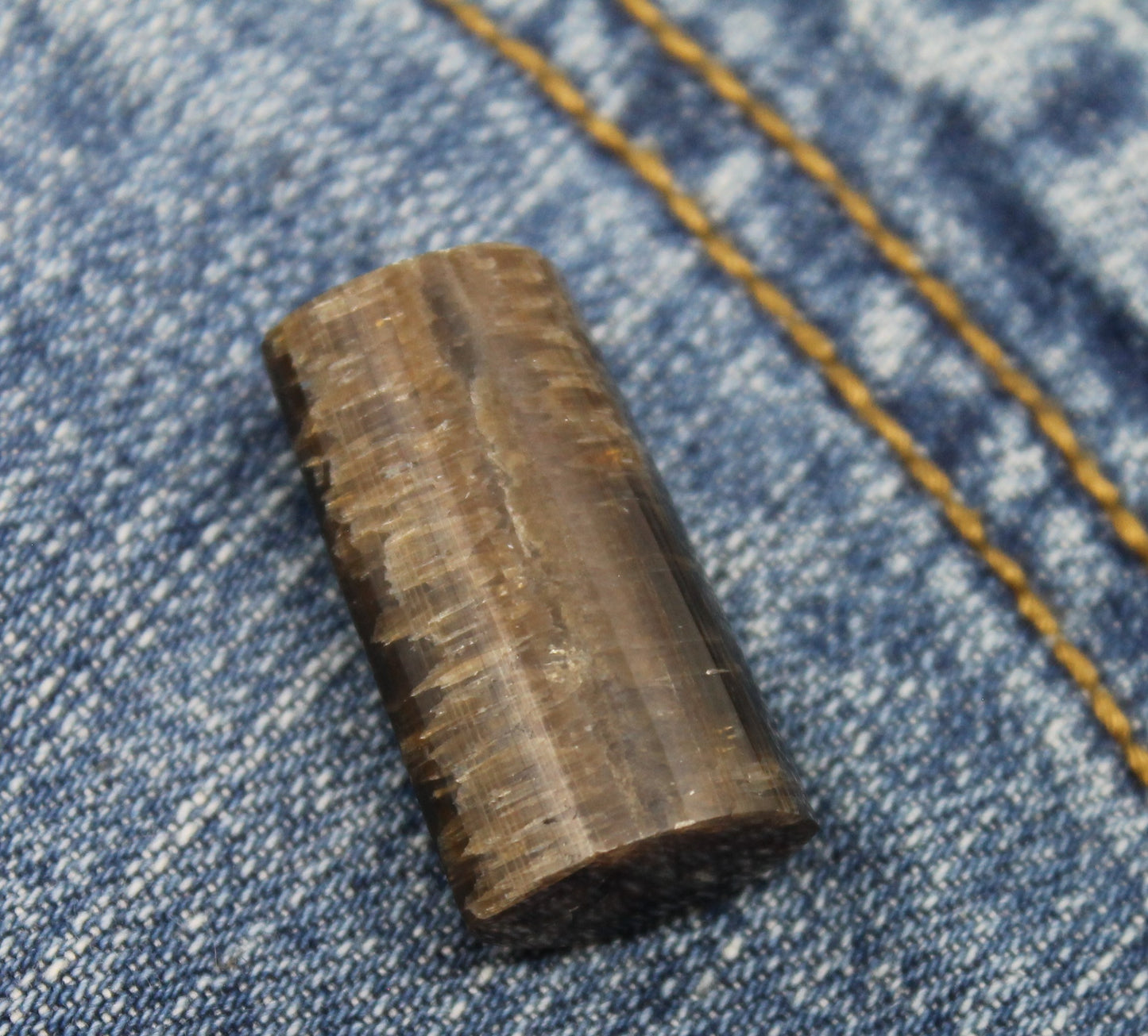 Belemnite Cabochon