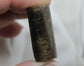 Belemnite Cabochon