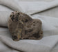 Petrified Wood and Yellow Granite Cabochons