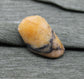 Petrified Wood and Yellow Granite Cabochons