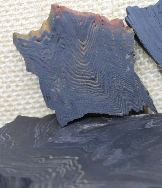 Small Dark Petrified Wood Slabs