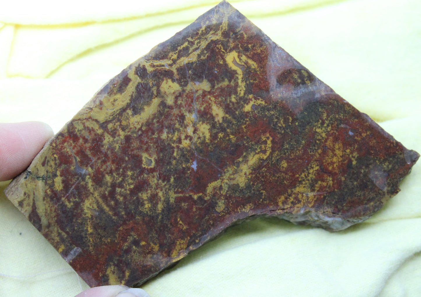 Noreena Jasper Slab