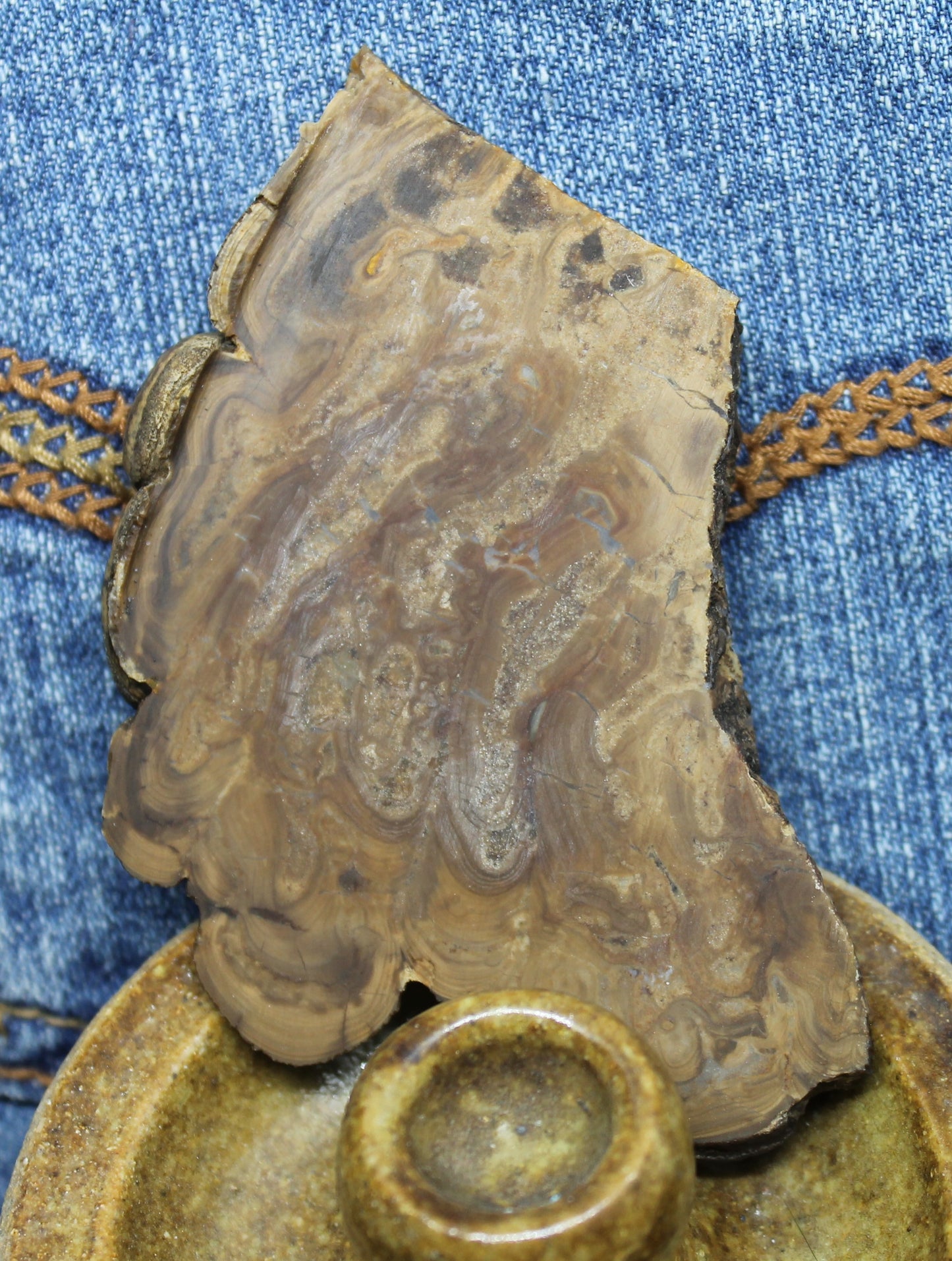 Stromatolite Slabs