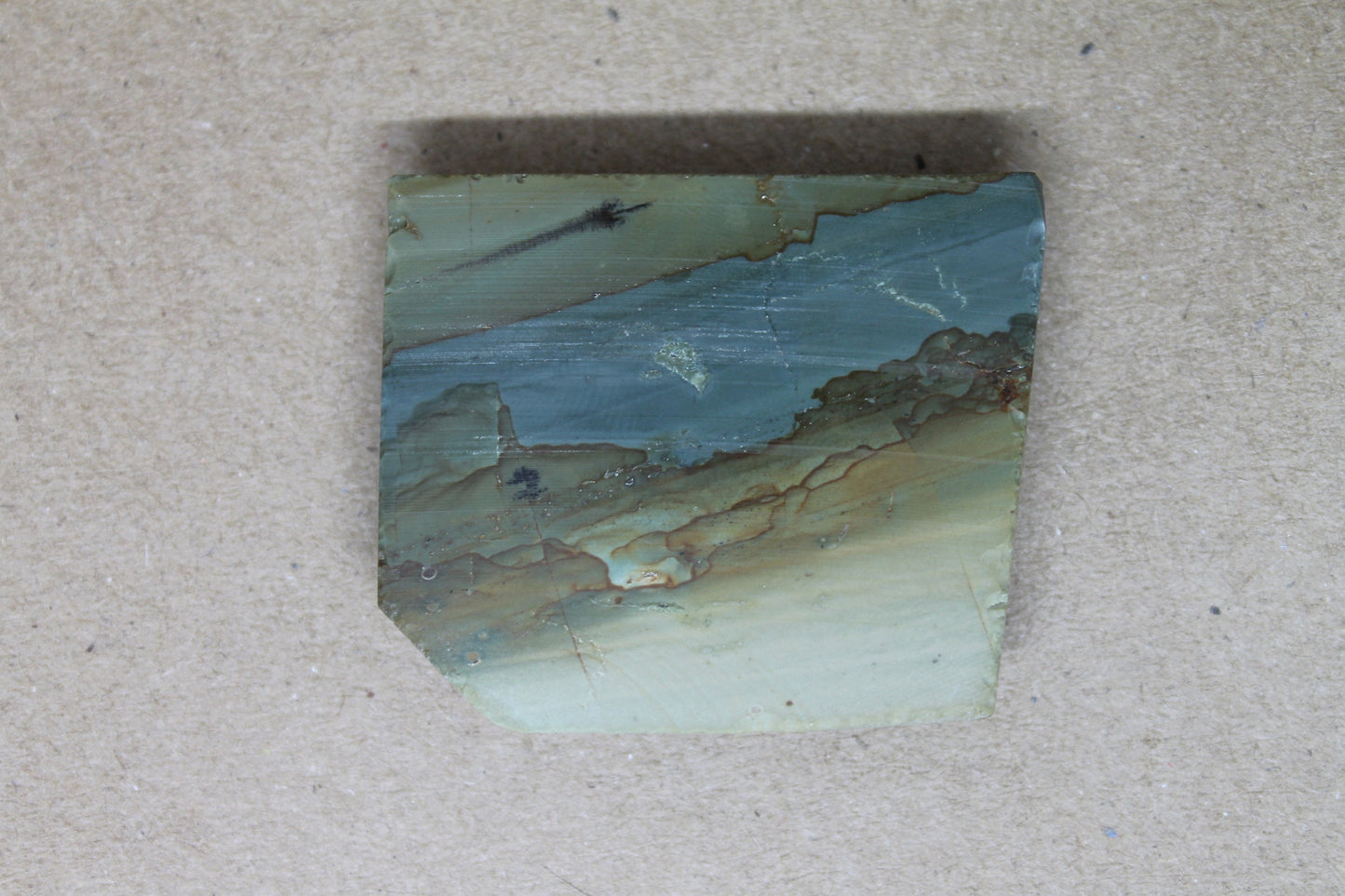 Owyhee Picture Jasper Cabochon