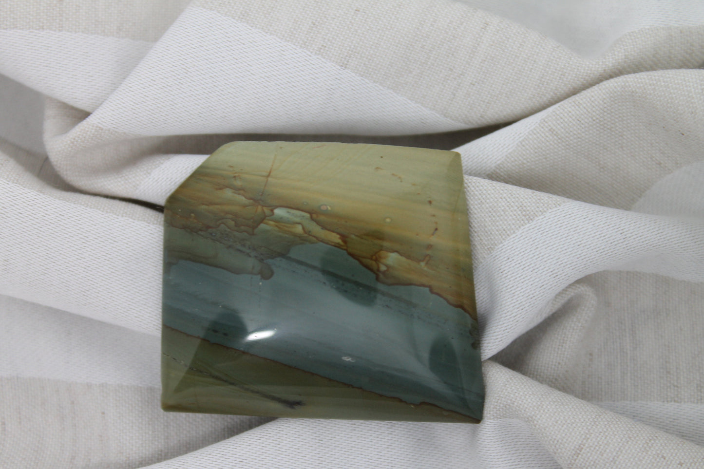 Owyhee Picture Jasper Cabochon