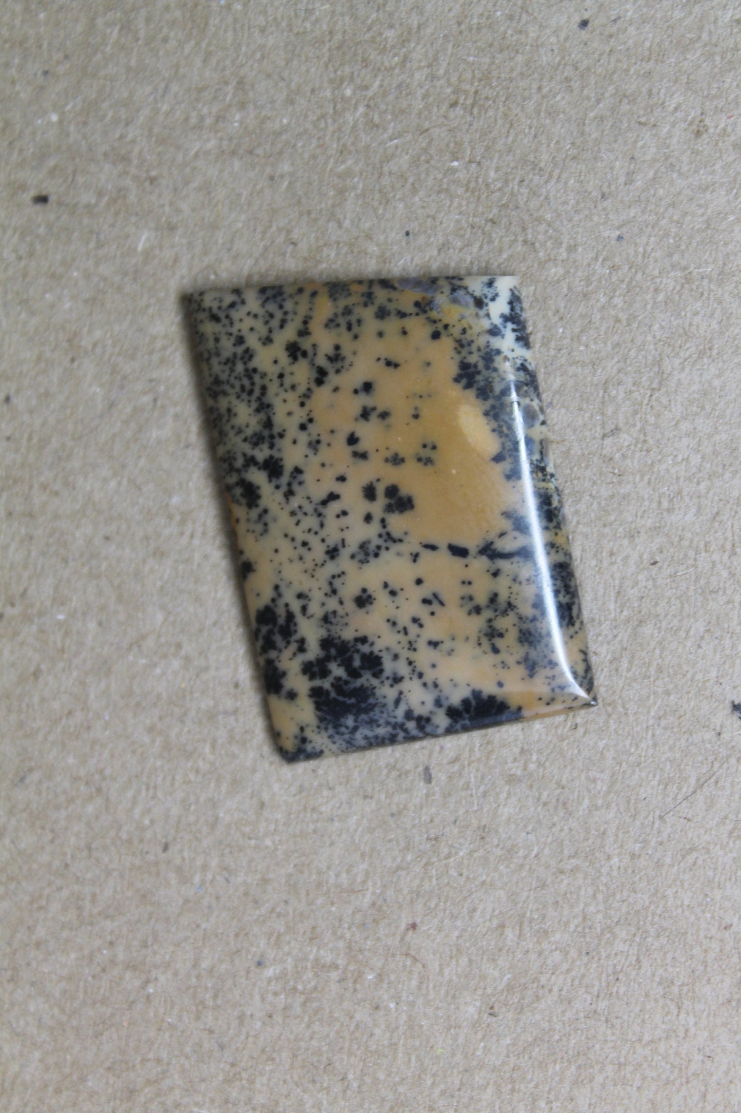 Scenic Dendritic Jasper Cabochon