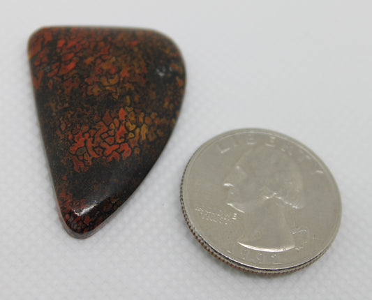 Dinosaur Bone Designer Cabochon #3